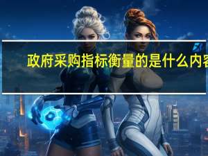 政府采购指标衡量的是什么内容