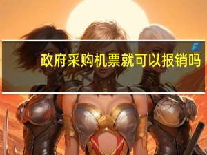 政府采购机票就可以报销吗