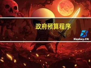 政府预算程序