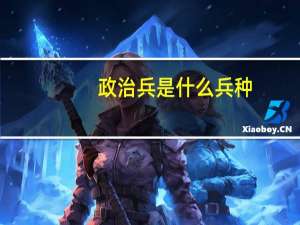 政治兵是什么兵种