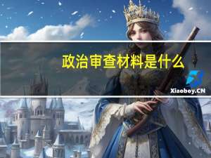 政治审查材料是什么