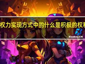 政治权力实现方式中的什么是积极的权利作用方式（政治权力）