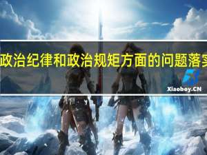 政治纪律和政治规矩方面的问题落实情况（在政治纪律和政治规矩方面存在的问题）