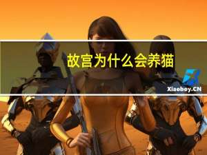 故宫为什么会养猫