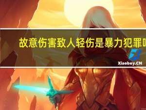 故意伤害致人轻伤是暴力犯罪吗