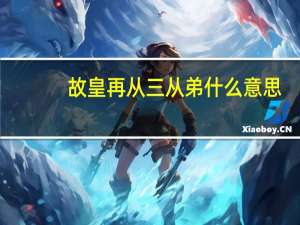 故皇再从三从弟什么意思