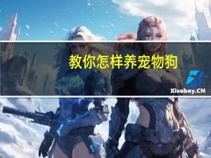 教你怎样养宠物狗