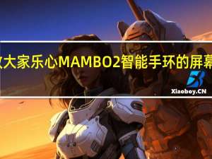 教大家乐心MAMBO2智能手环的屏幕怎么样
