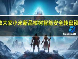 教大家小米新品榉树智能安全转盘锁怎么样