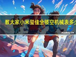 教大家小米玺佳全镂空机械表多少钱