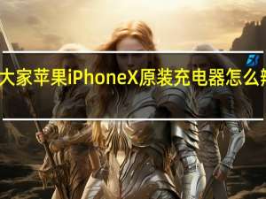 教大家苹果iPhoneX原装充电器怎么辨别真假