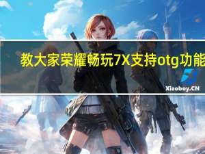教大家荣耀畅玩7X支持otg功能吗