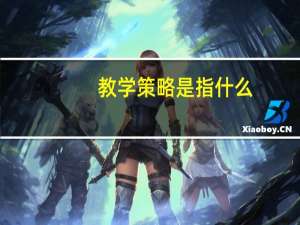 教学策略是指什么
