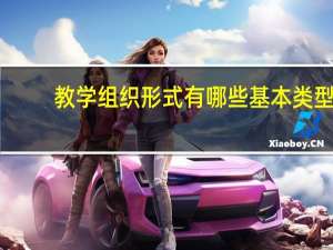 教学组织形式有哪些基本类型