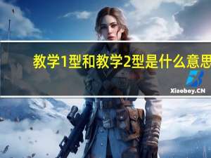 教学1型和教学2型是什么意思
