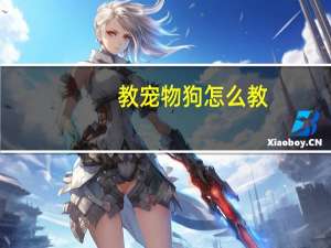 教宠物狗怎么教