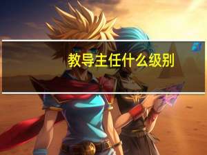 教导主任什么级别