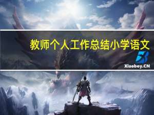 教师个人工作总结小学语文（教师个人工作总结小学）