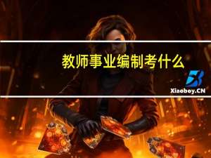 教师事业编制考什么