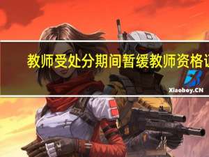 教师受处分期间暂缓教师资格证