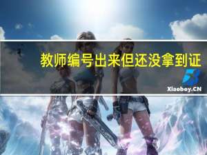 教师编号出来但还没拿到证（教师编号查询）