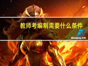 教师考编制需要什么条件