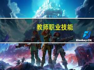 教师 职业技能