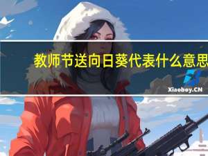 教师节送向日葵代表什么意思