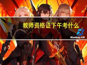 教师资格证下午考什么