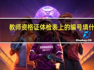 教师资格证体检表上的编号填什么