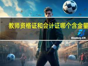 教师资格证和会计证哪个含金量高