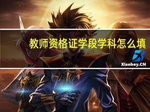 教师资格证学段学科怎么填
