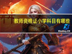 教师资格证小学科目有哪些