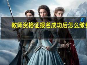 教师资格证报名成功后怎么缴费
