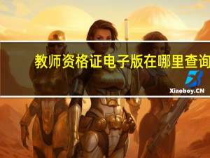 教师资格证电子版在哪里查询
