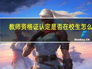 教师资格证认定是否在校生怎么填