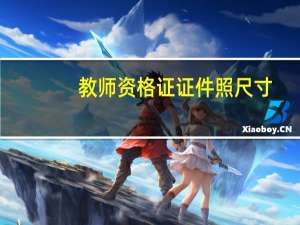 教师资格证证件照尺寸