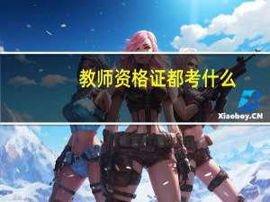 教师资格证都考什么