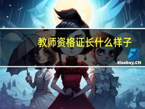 教师资格证长什么样子