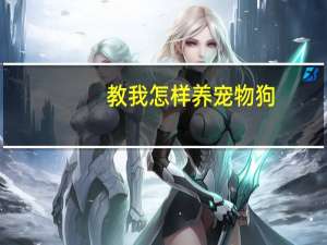 教我怎样养宠物狗