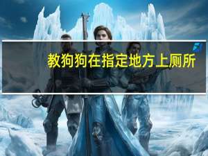 教狗狗在指定地方上厕所