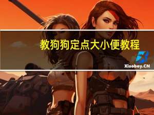 教狗狗定点大小便教程