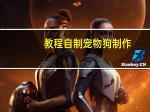 教程自制宠物狗制作