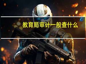 教育局审计一般查什么