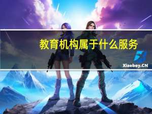 教育机构属于什么服务
