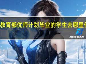教育部优师计划毕业的学生去哪里任教了