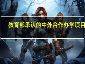 教育部承认的中外合作办学项目吗