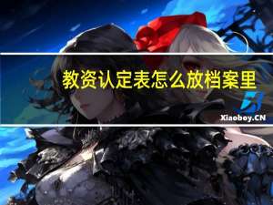教资认定表怎么放档案里