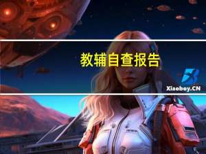 教辅自查报告（教辅）