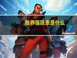 散养猫隐患是什么
